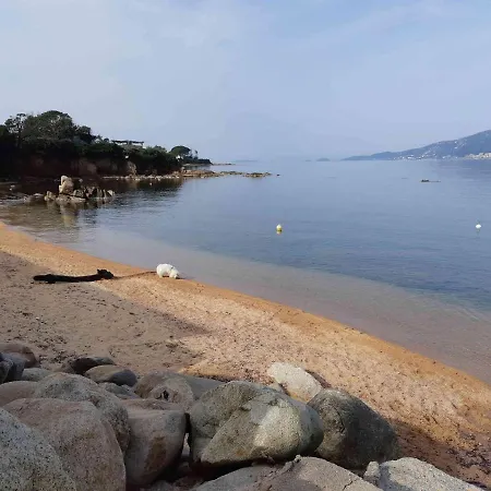 Apartment Un Balcon Sur La Mer: Beachfront Duplex With Direct Access