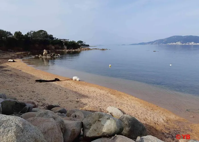 Lägenhet Un Balcon Sur La - Duplex 60 M2 - A L'etage - Pieds Dans L'eau - Acces Sans Route A Traverser